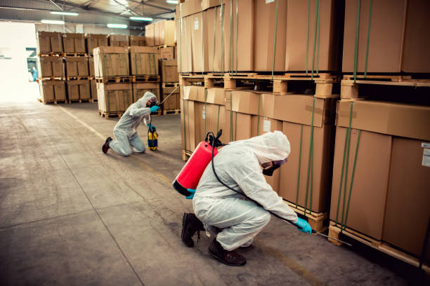 Best Cockroach Control Services  in Hudson Bend, TX