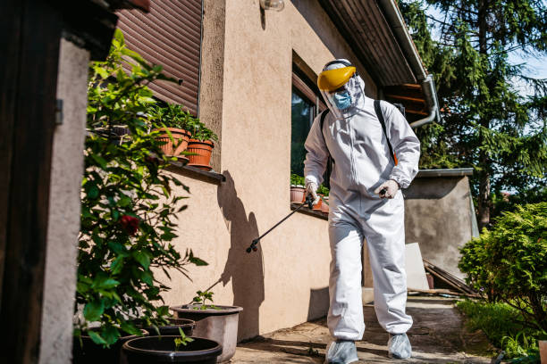 Best Pest Control for Restaurants  in Hudson Bend, TX
