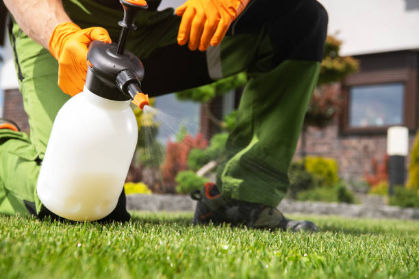 Pest Prevention Services in Hudson Bend, TX