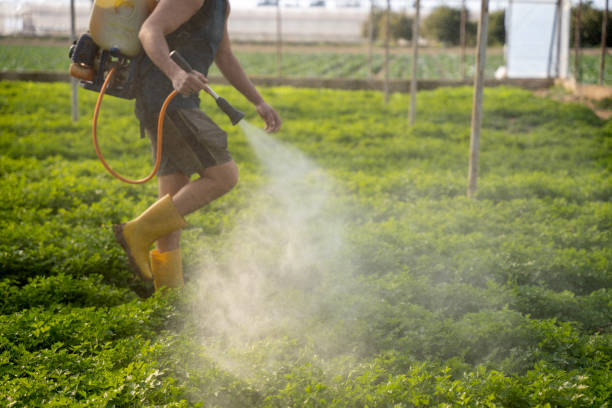 Reliable Hudson Bend, TX Pest Control Solutions