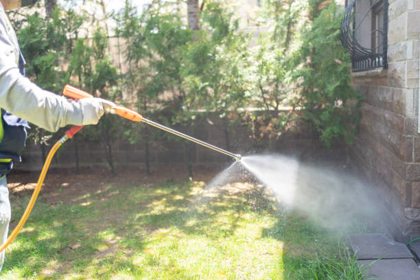 Best Affordable Pest Control Services  in Hudson Bend, TX