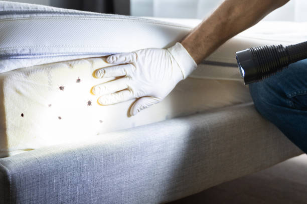 Best Cockroach Control Services  in Hudson Bend, TX