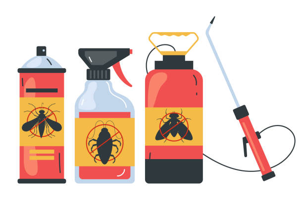 Trusted Hudson Bend, TX Pest Control Experts