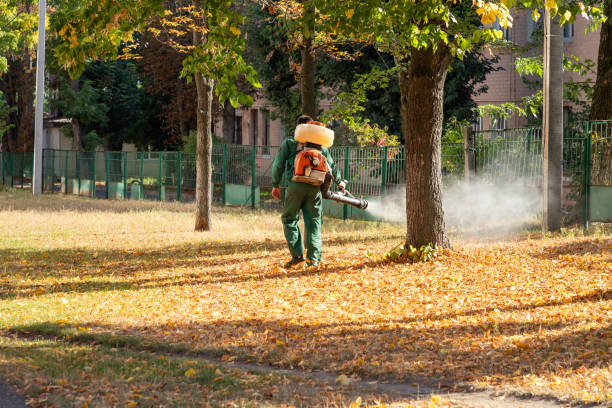 Best Mosquito Control Services  in Hudson Bend, TX
