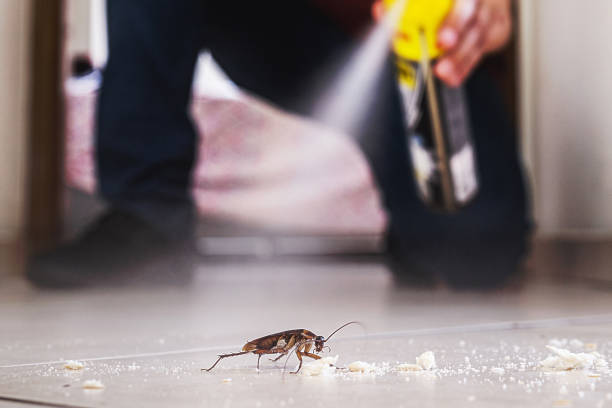 Best Commercial Pest Control Services  in Hudson Bend, TX