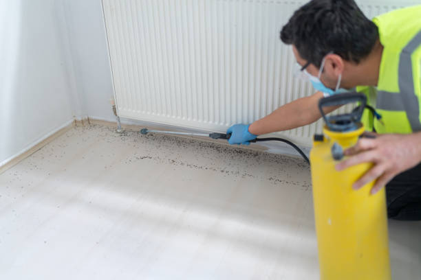 Best Best Pest Control Companies  in Hudson Bend, TX