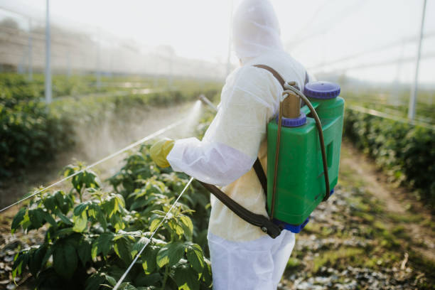 Best Exterminator Services  in Hudson Bend, TX